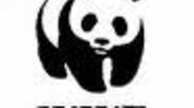 wwf