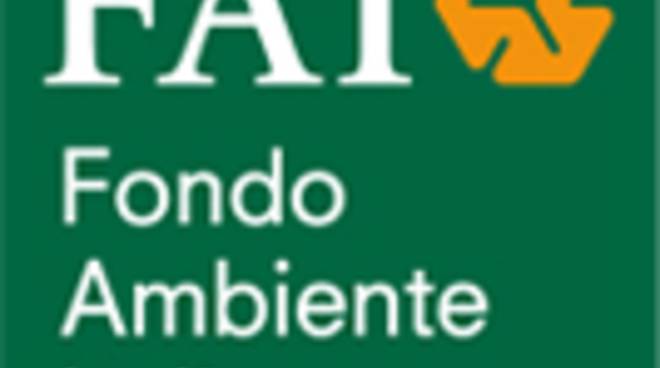 logo-FAI