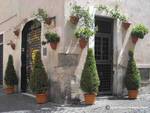 trastevere