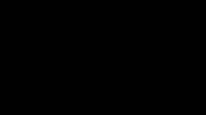 altaroma-logo