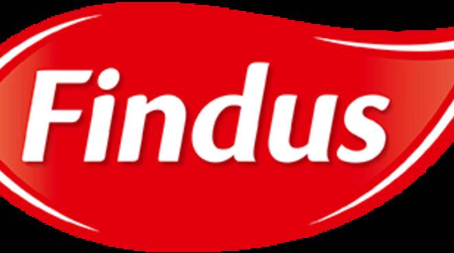 Findus