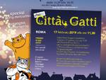 Gatti Piramide