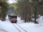 Treno della neve