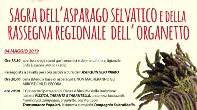 9^ Edizione della Sagra dell\'Asparago Selvatico e  della Rassegna Regionale dell\'Organetto