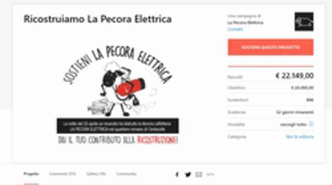 donazioni Pecora Elettrica