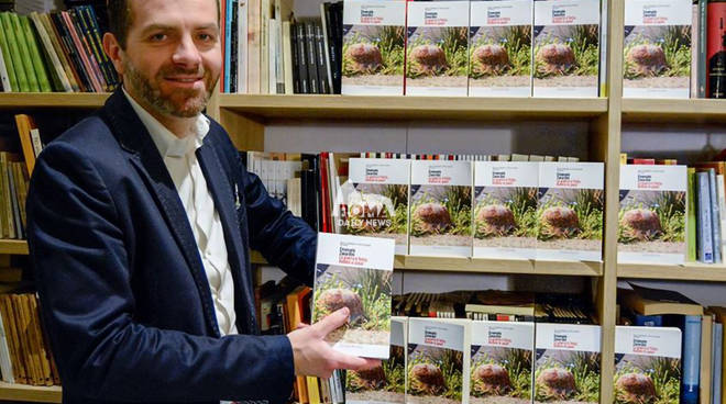 Il destino di stelle cadenti il libro  di Emanuele Zanardini