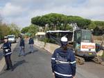 cimitero flaminio