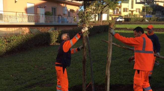 C'era una volta Hollywood, presentazione a Roma