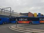 nuovi bus Cotral