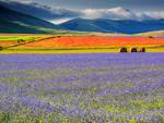 castelluccio