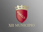 municipio 12