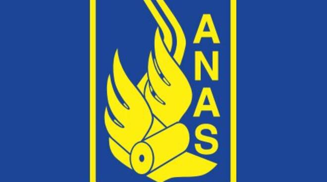 anas