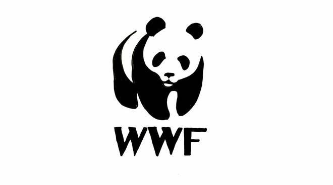 wwf