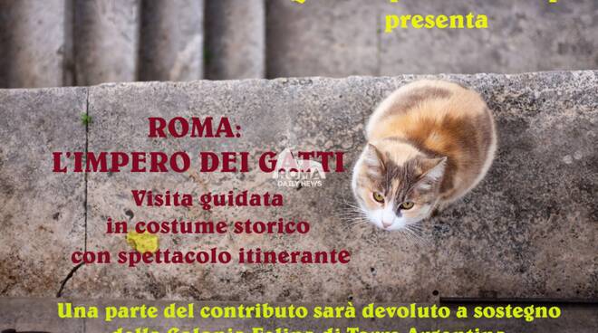 Roma: l\'impero dei gatti