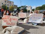 protesta studenti sapienza