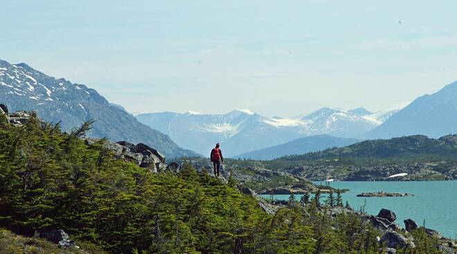 sogni di grande nord