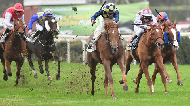 Ippodromo Capannelle. Domenica va in scena il Derby Day