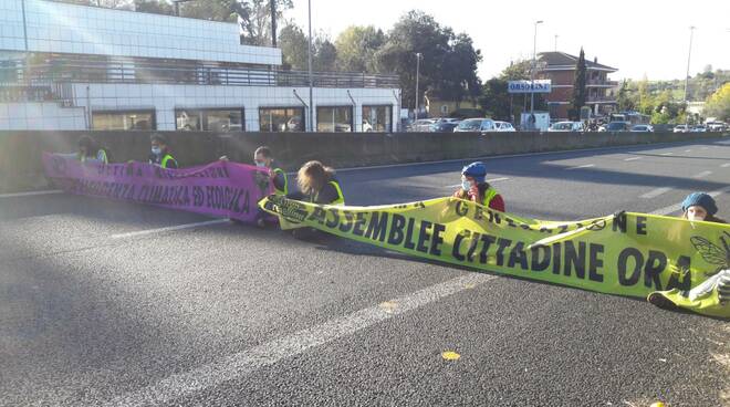 extinction rebellion aurelia