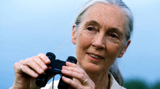 Il 2 maggio al cinema Troisi di Roma l’evento: “Cambiare si può. Le scuole incontrano Jane Goodall”