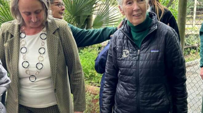 Jane Goodall al Bioparco: presentato il coordinamento tra zoo italiani per il benessere degli scimpanzé
