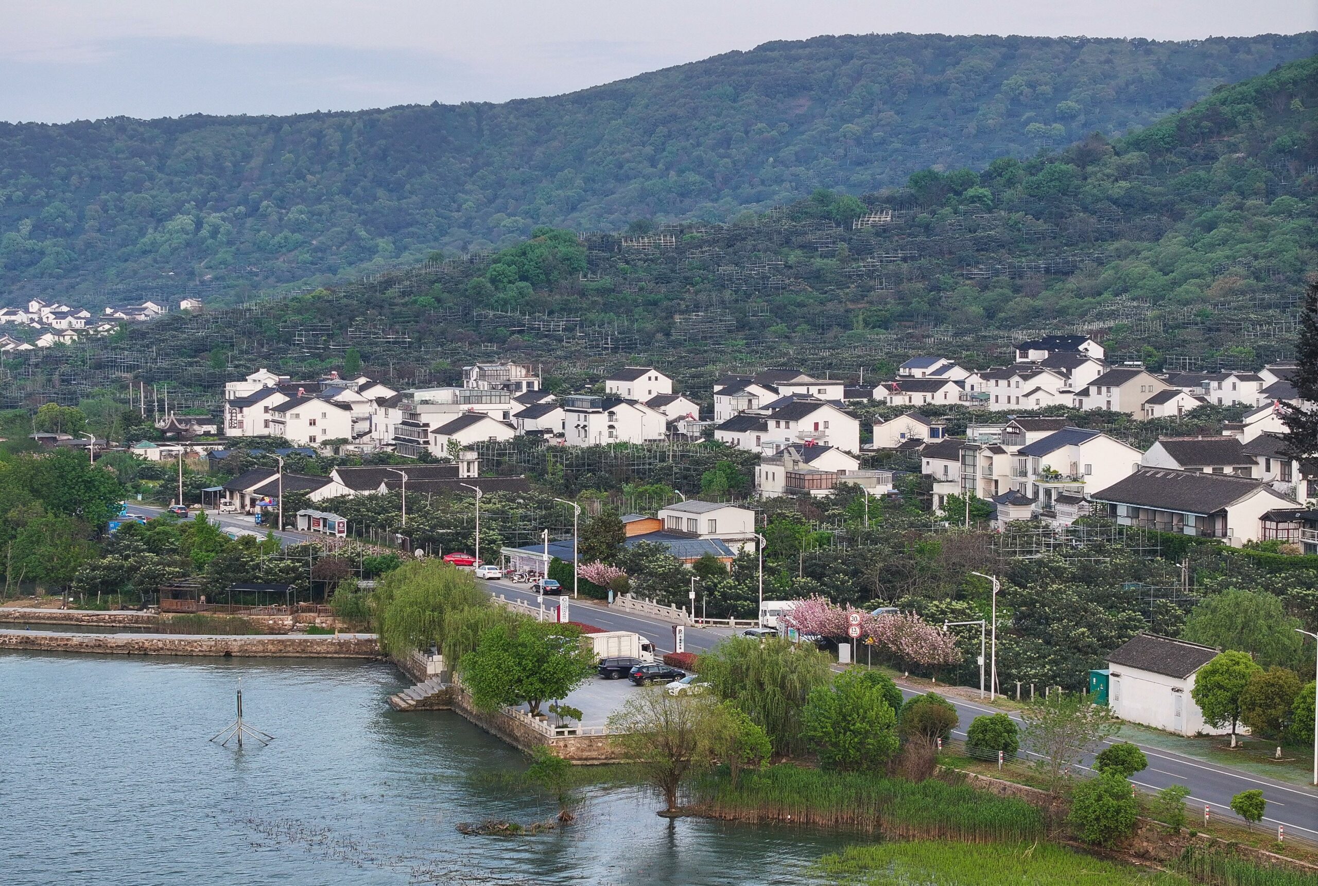 Cina: Jiangsu, trasformazione verde del lago Taihu (2)